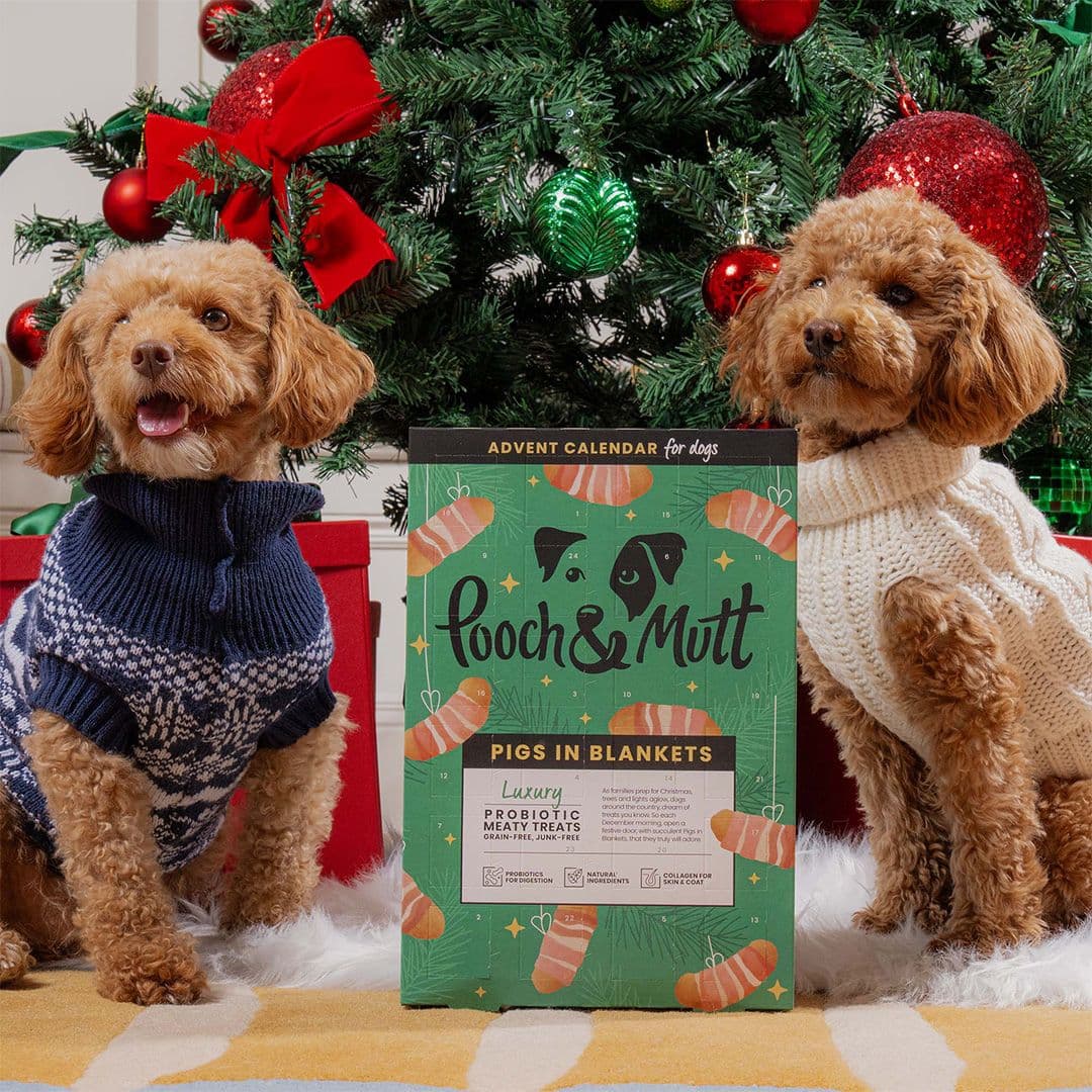 Pooch and Mutt Calendar