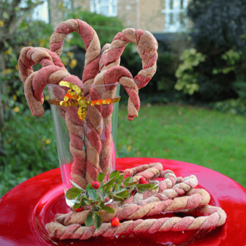 Candy cane dog treats recipaw