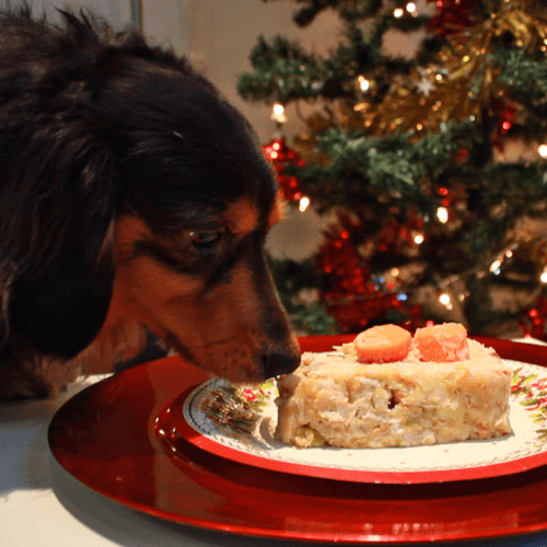 Christmas dinner recipaw